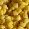 IQF sweet corn