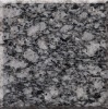 Black Wave      granite