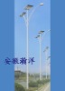 24V/50W HED SOLAR & WIND STREET LIGHT