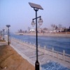 Solar lights