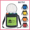 promotional outdoor cooler bag