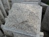 Granite Mushroom Stone