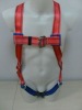 Body Harness