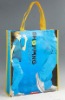 Non-woven shopping bags