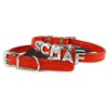 Designer Dog Collar, Dog Collars