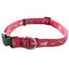 Designer Dog Collar, Dog Collars