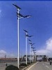 Solar Road Light