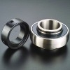 Insert Ball Bearing (HC207)