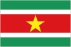 Suriname National flag