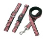 Dog Leash and collar