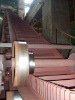 Raised edge conveyor belt