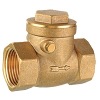 brass check valve