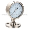 Diaphragm Seal  Gauge