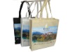 nonwoven shopping bag