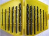 13PC twist drill bit