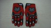 motorcycle gloves