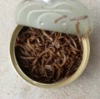 canned mealworms