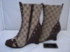 2010 fashion boot