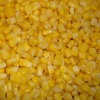 IQF sweet corn