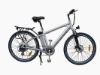 CE Electric bicycle