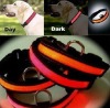 Professional in wholesale LED pets dog/cat Collar