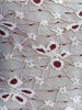 lace fabric, spandex cotton lace