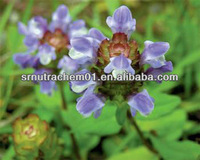 high purity selfheal extract98%