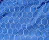 hexagonal wire netting