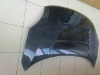 CAR CARBON BODYCOVER