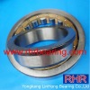 skf Cylindrical Roller bearing