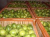 2011 crop pomelo