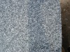 granite outdoor paving slab