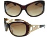 acetate sunglasses(SA-014)