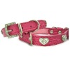 Designer Dog Collar, Dog Collars