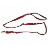 dog leash