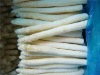 frozen white asparagus