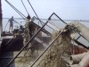 small sand dredger