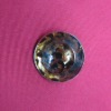 pearl sewing  button