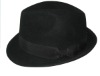 fedora hat