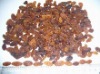 dried raisin