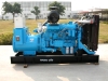 generator set powered by Iveco engine CURSOR78TE2