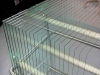 clear float glass