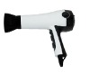 electric hair dryer