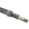 Aluminum conductor/acsr conductor