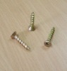 Self- tapping screw