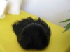 Indian  Remy hair full lace wig 12'' Ready for Shipping Free shipping