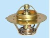 Auto cooling system thermostat