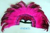 Feather Headdress