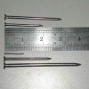 Common Wire Nail