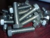 titanium screw